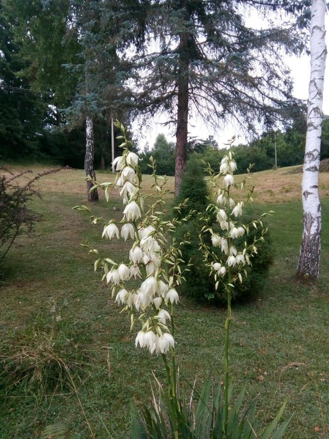 Takovo - Odmor U Selu Villa Gornji Milanovac Kültér fotó