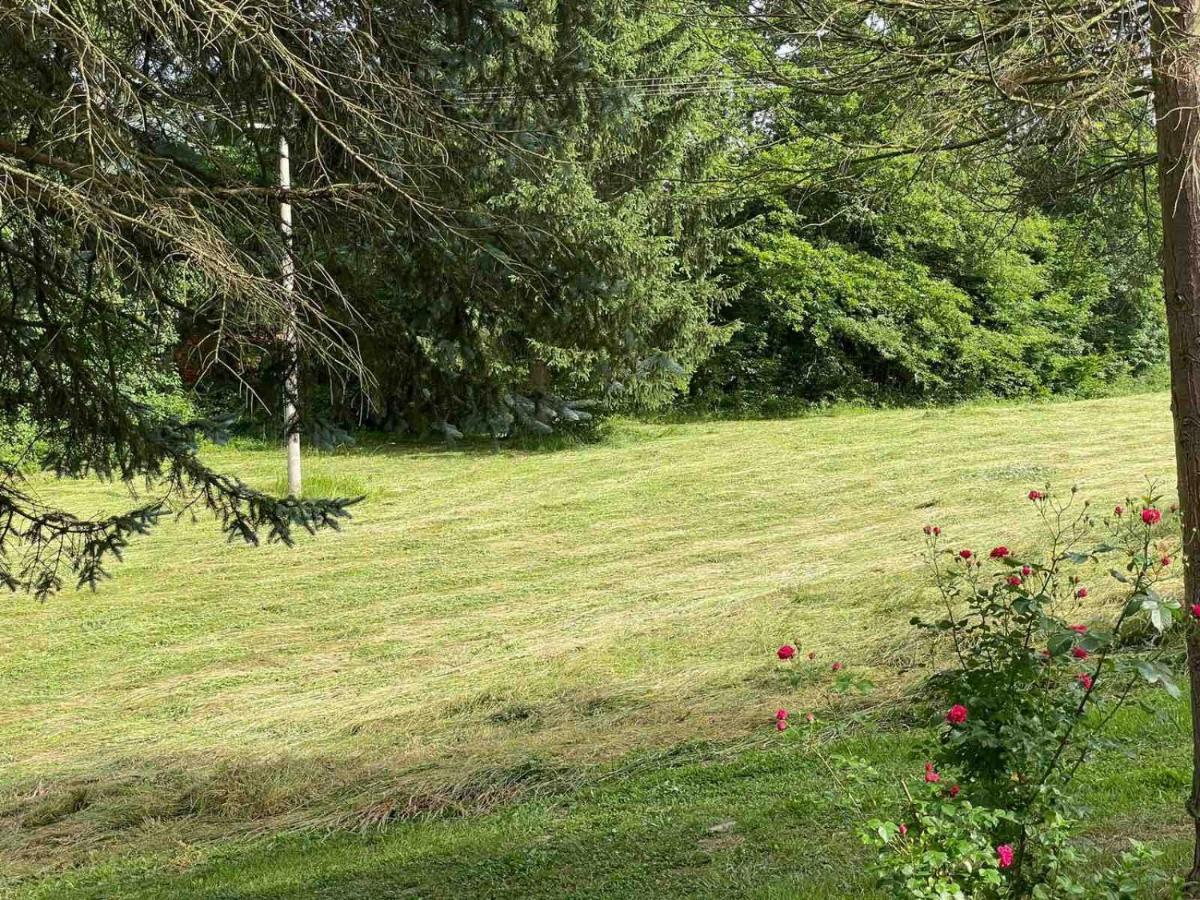 Takovo - Odmor U Selu Villa Gornji Milanovac Kültér fotó
