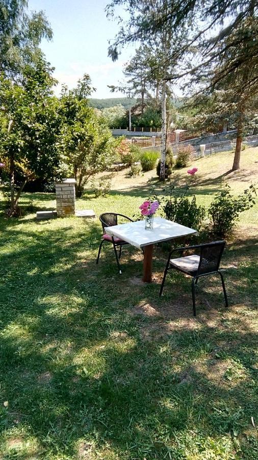Takovo - Odmor U Selu Villa Gornji Milanovac Kültér fotó