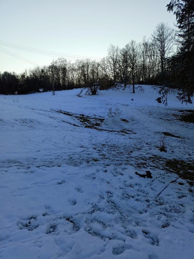 Takovo - Odmor U Selu Villa Gornji Milanovac Kültér fotó
