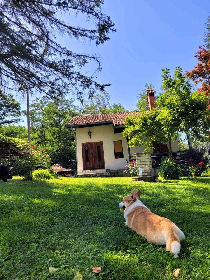 Takovo - Odmor U Selu Villa Gornji Milanovac Kültér fotó