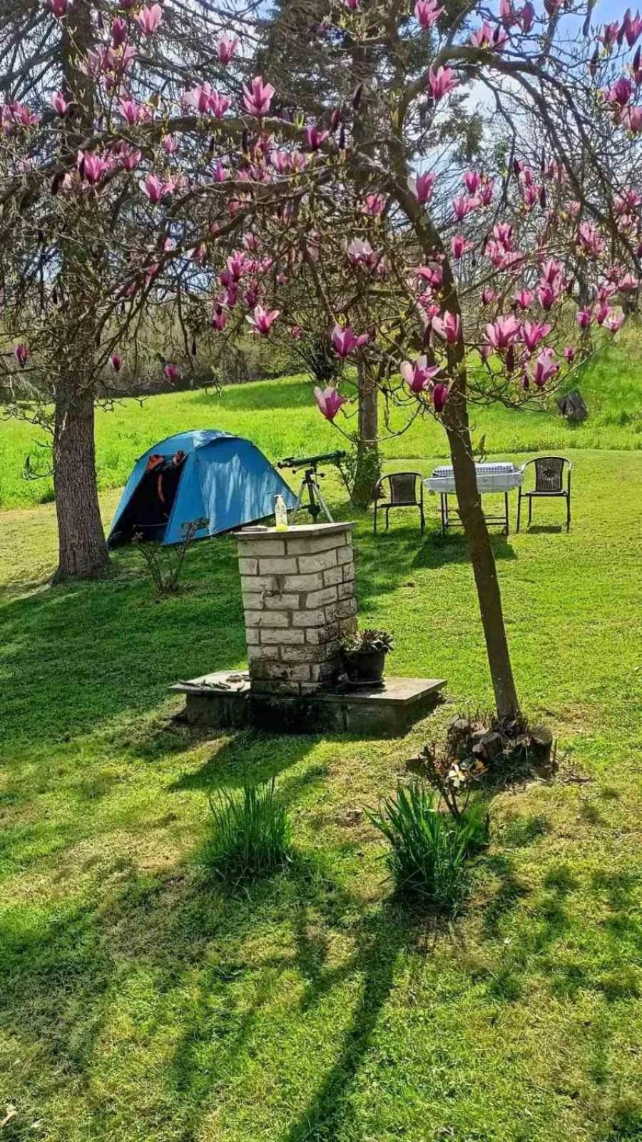 Takovo - Odmor U Selu Villa Gornji Milanovac Kültér fotó