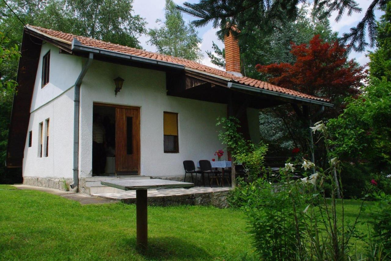 Takovo - Odmor U Selu Villa Gornji Milanovac Kültér fotó